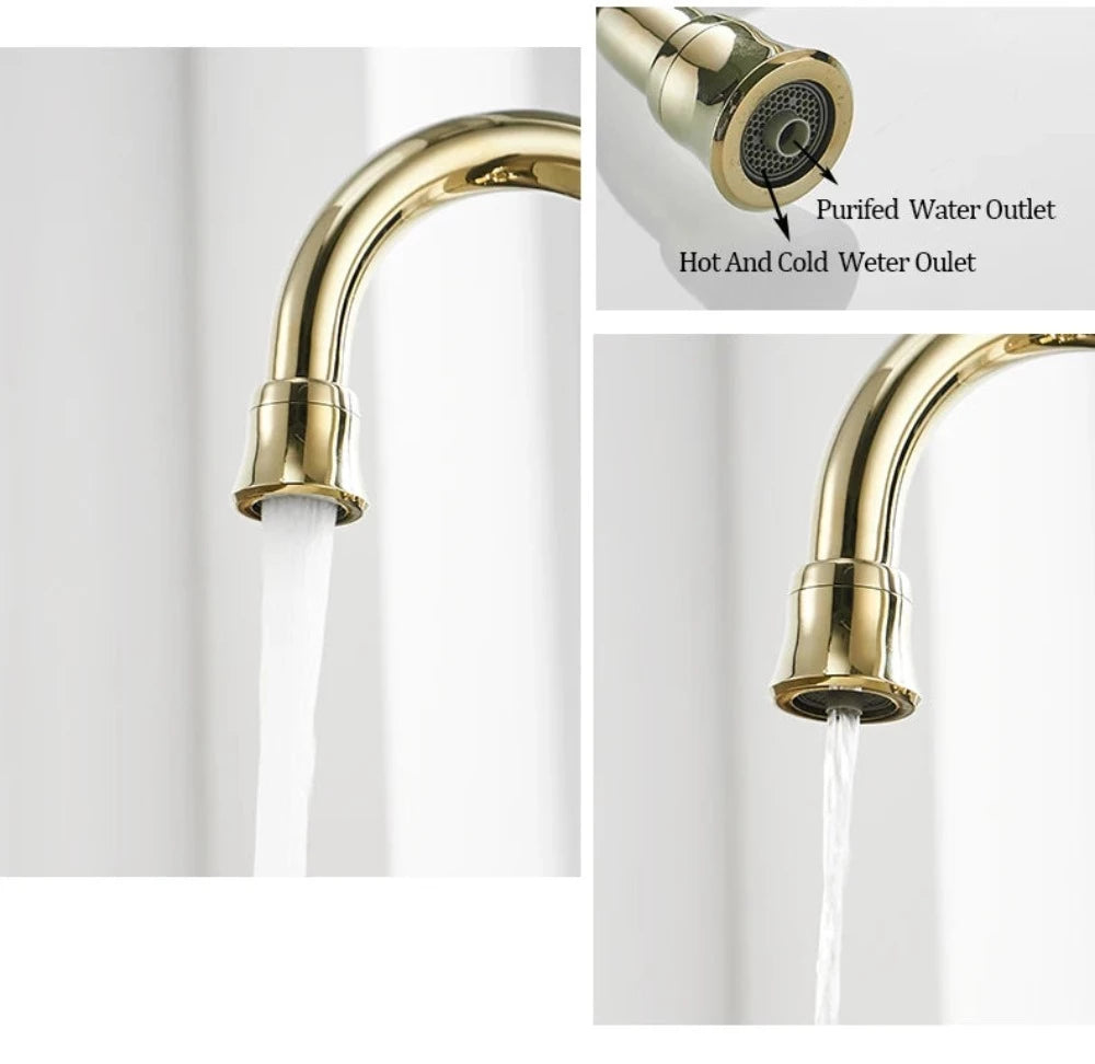 Details of Kitchen Faucet with Built in Water Filter Spout