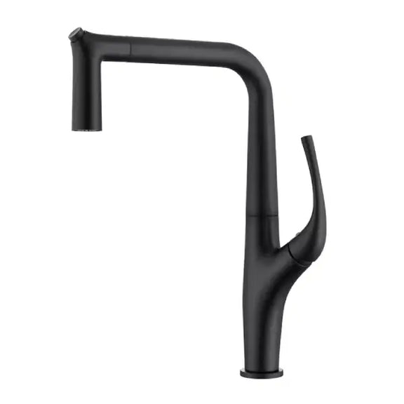 Modern Black Kitchen Faucet with Pull Out  Sprayer, Single Hole, Single handle, deck mounted