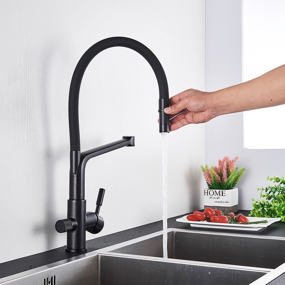 Kitchen Faucet with built in water filter in Black