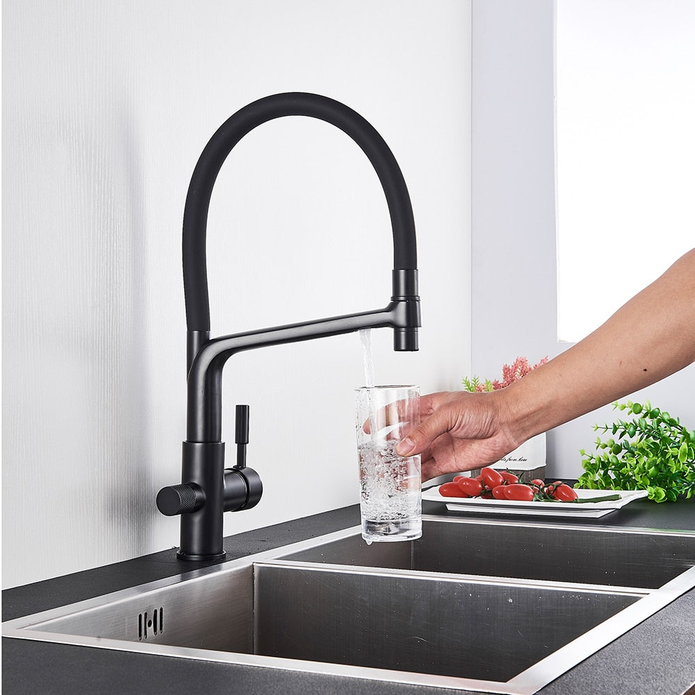 Kitchen Faucet with built in water filter in Black