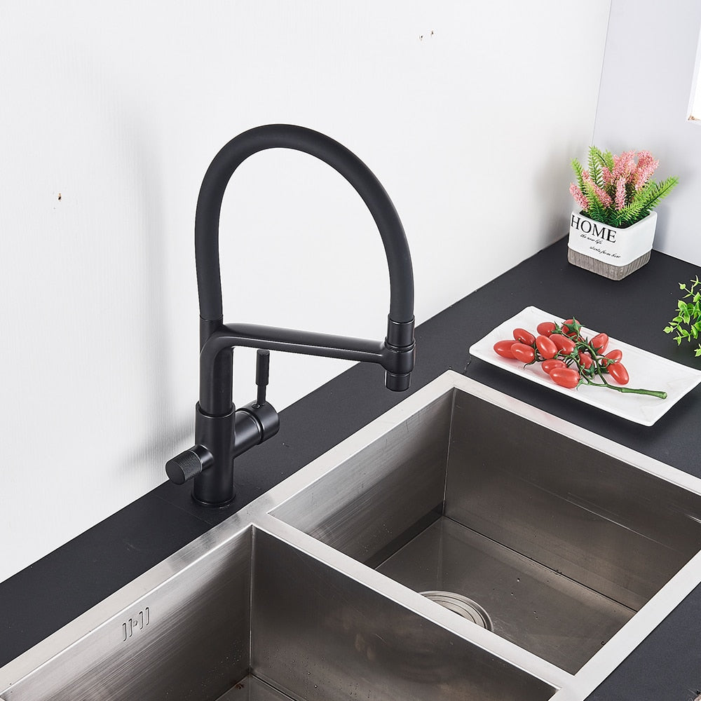 Kitchen Faucet with built in water filter in Black