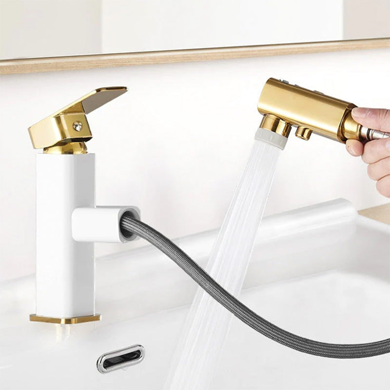 bathroom faucet with pull out sprayer and water fountain feature in white