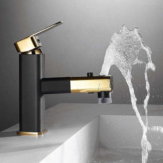 Bathroom faucet with pull out sprayer and water fountain feature