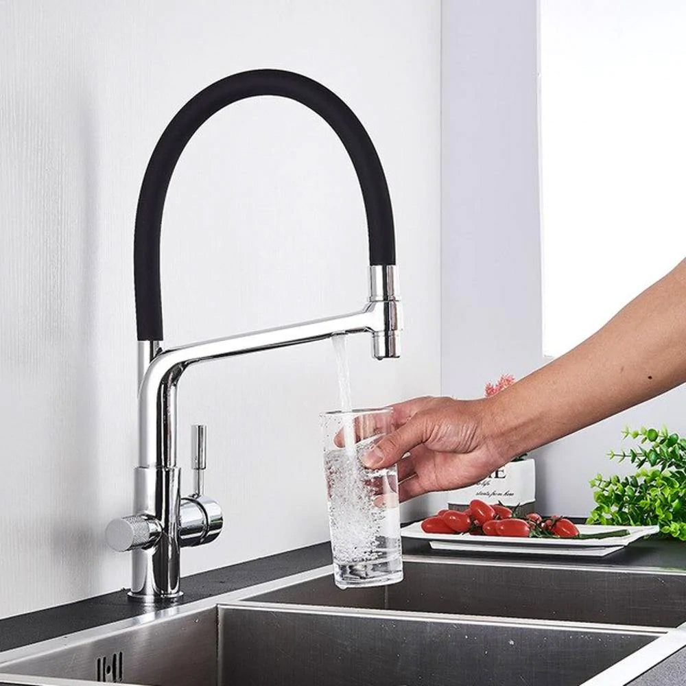 Sohn Modern Kitchen Faucet with built in Water Filter Spout – NMC Decor