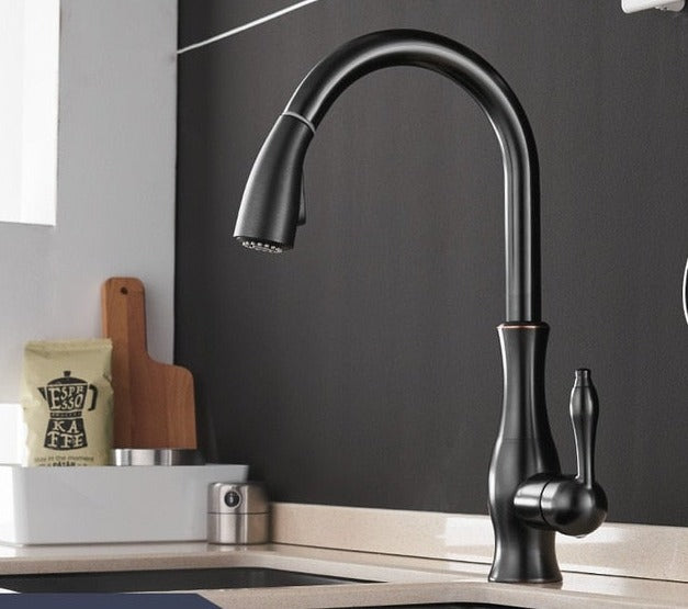 Black Single Hole Single Handle Kitchen Faucet with Pull Down Sprayer