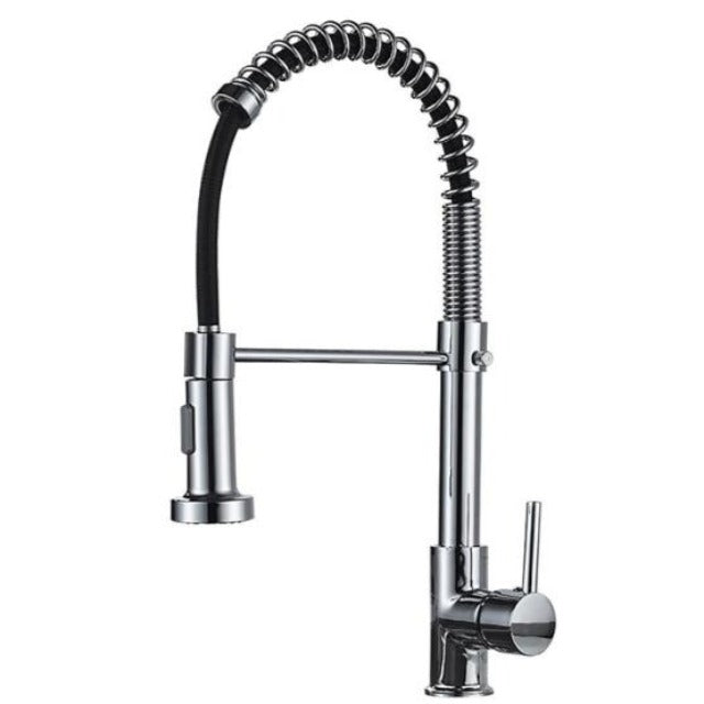 Flexible Kitchen Faucet in Chrome