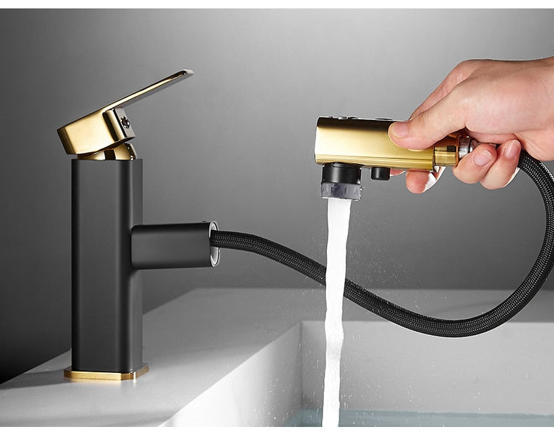 bathroom faucet with pull out sprayer in black and gold