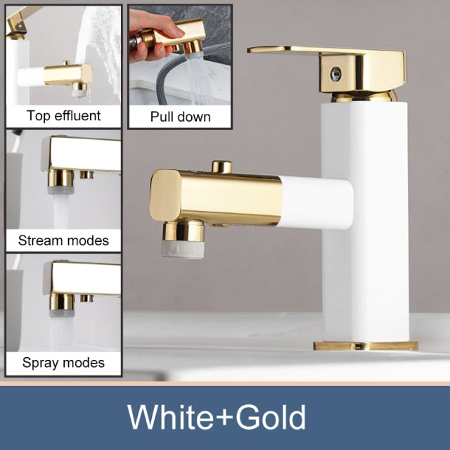 Spray Features of bathroom faucet with pull out sprayer